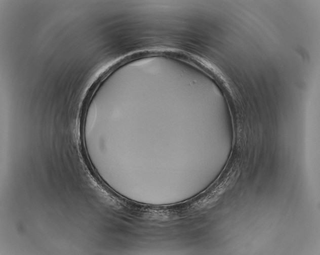 X0000110970935200907101346