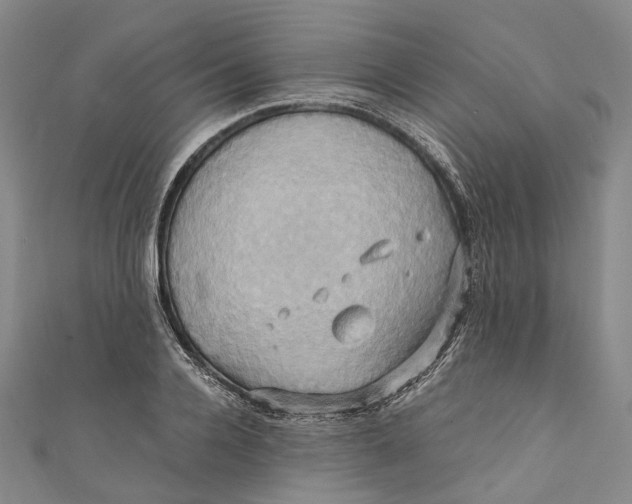 X0000110970936200907101346