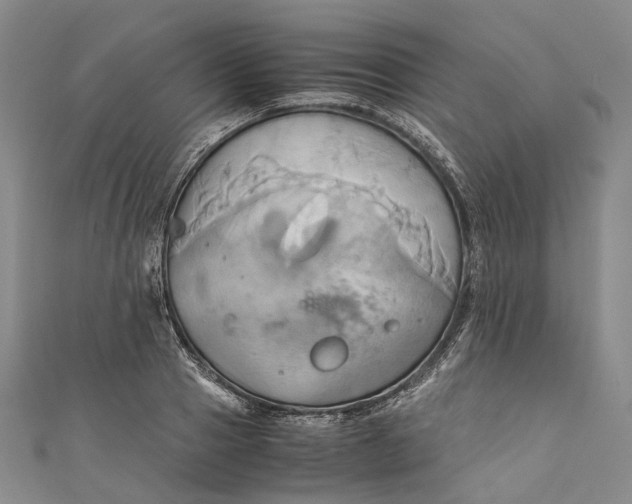 X0000110970937200907101346