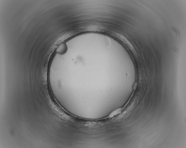 X0000110970938200907101346