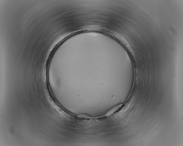 X0000110970939200907101346