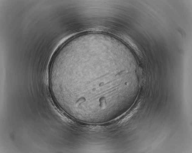 X0000110970940200907101346