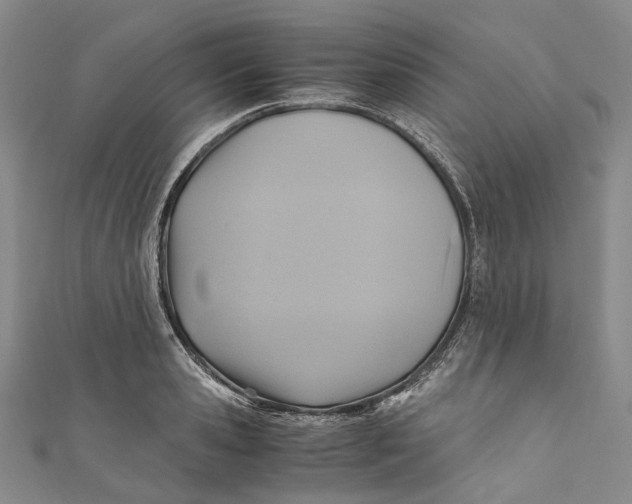 X0000110970941200907101346