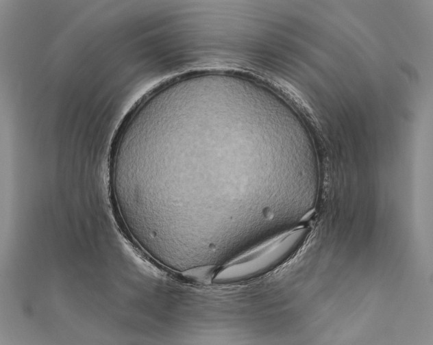 X0000110970942200907101346