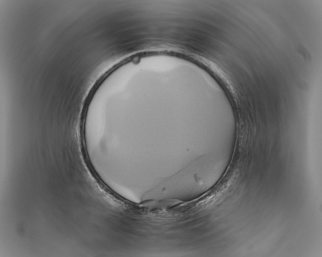 X0000110970943200907101346