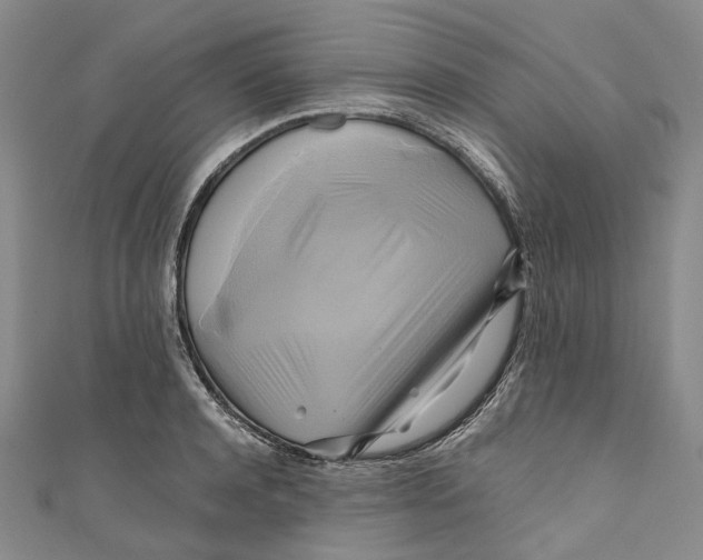 X0000110970944200907101346