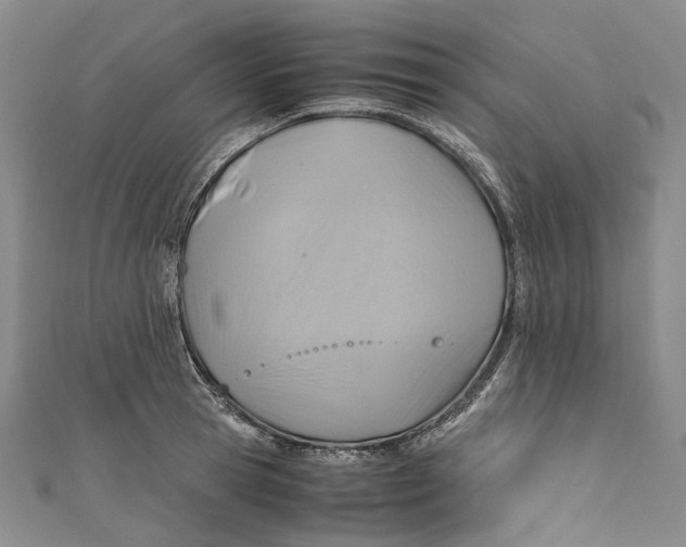 X0000110970945200907101346