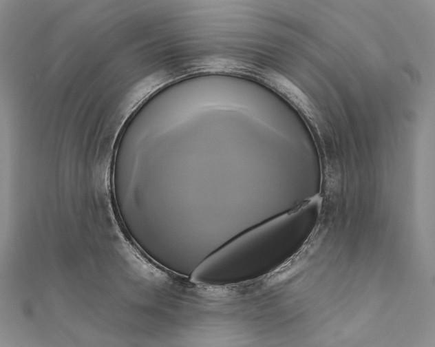 X0000110970946200907101346