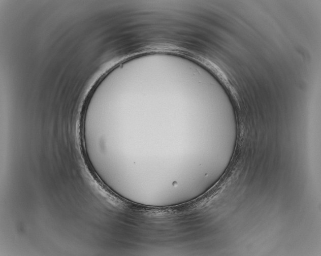 X0000110970947200907101346