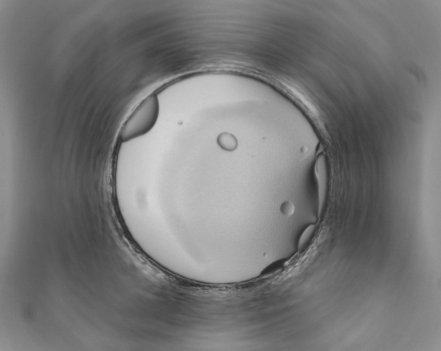 X0000110970948200907101346