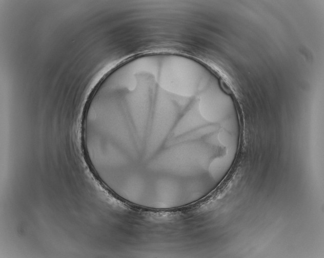 X0000110970949200907101346