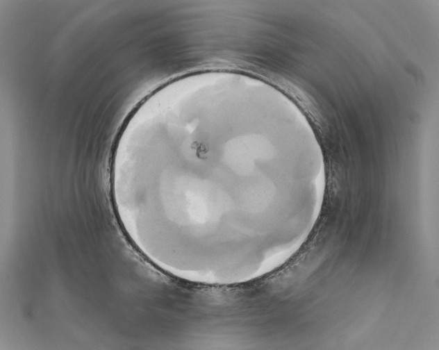 X0000110970950200907101346