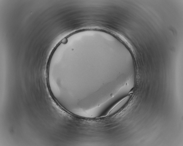 X0000110970951200907101346