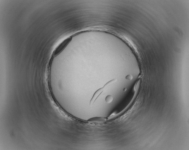 X0000110970952200907101346