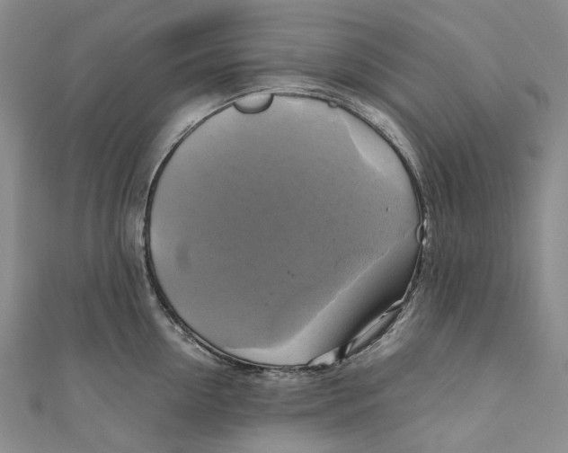 X0000110970954200907101346