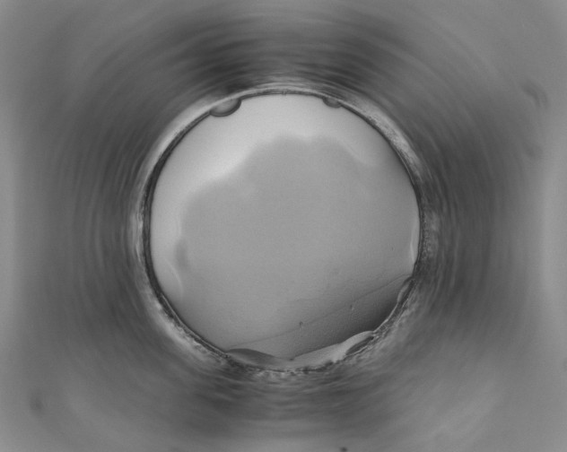 X0000110970955200907101346