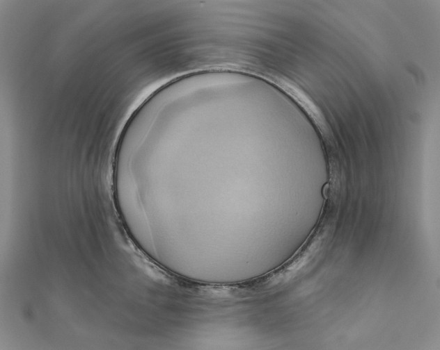 X0000110970956200907101346