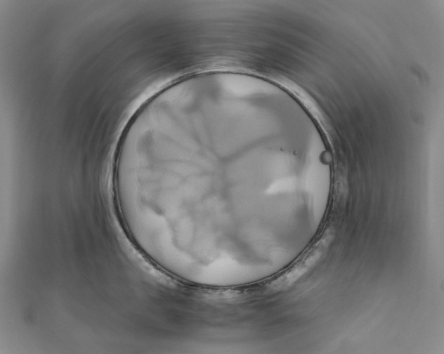 X0000110970957200907101346