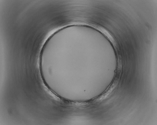 X0000110970958200907101346