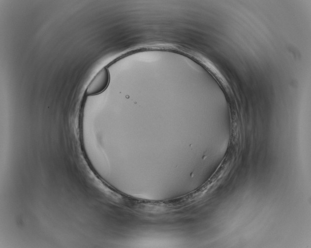 X0000110970959200907101346