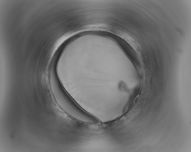 X0000110970960200907101346