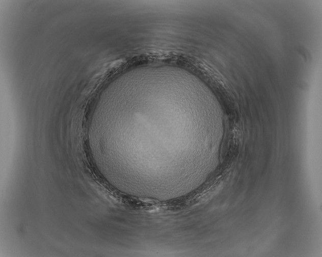 X0000110970961200907101345