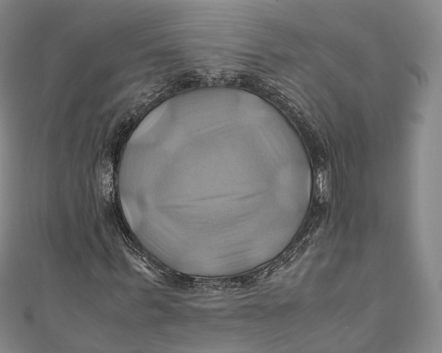 X0000110970963200907101345