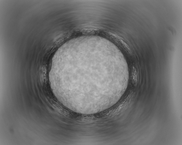 X0000110970964200907101345