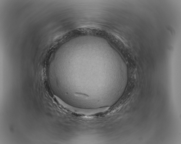 X0000110970965200907101345