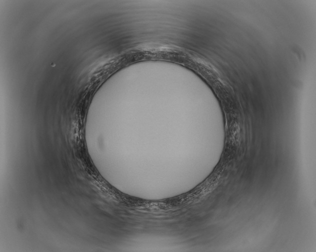 X0000110970966200907101345