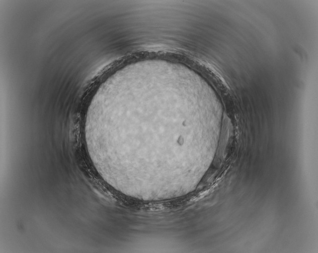 X0000110970968200907101345