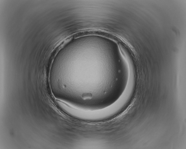 X0000110970969200907101345