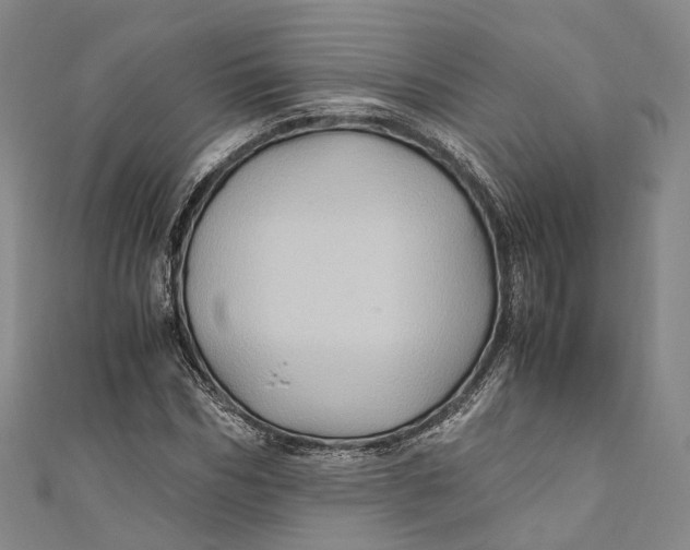 X0000110970970200907101345