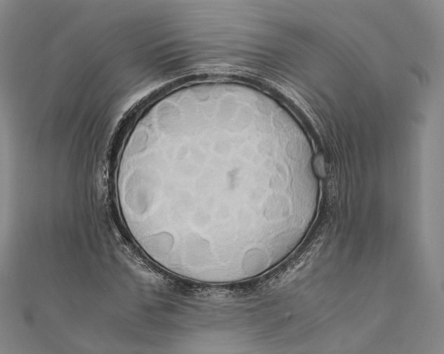 X0000110970971200907101345