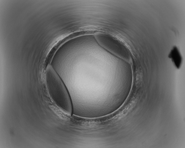 X0000110970973200907101345