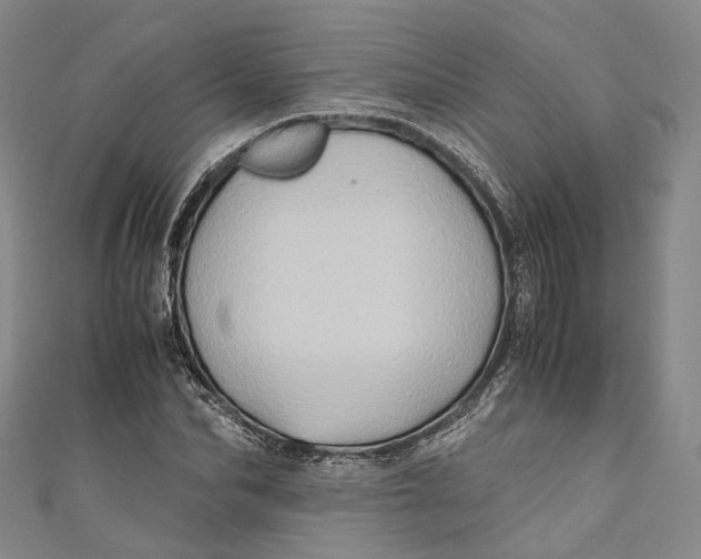 X0000110970974200907101345