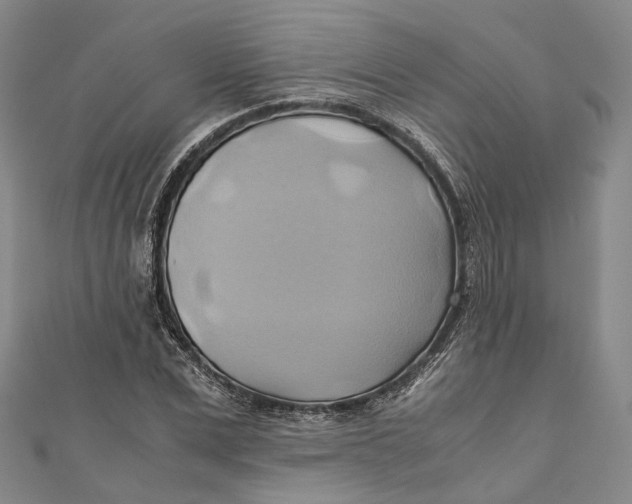 X0000110970975200907101345