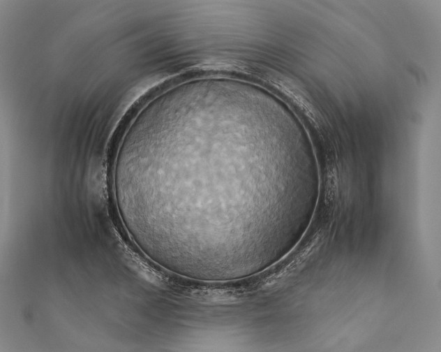 X0000110970976200907101345