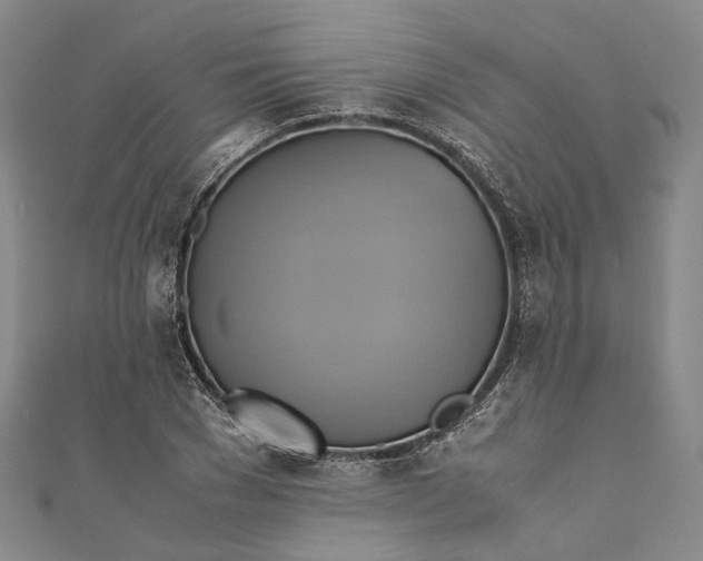 X0000110970977200907101345