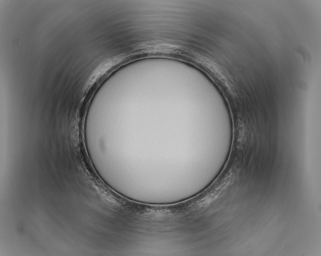 X0000110970978200907101345