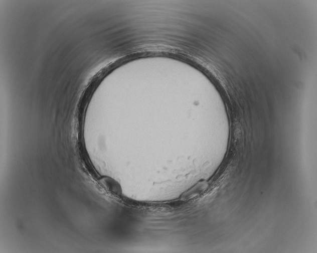 X0000110970979200907101345