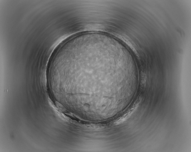 X0000110970980200907101345