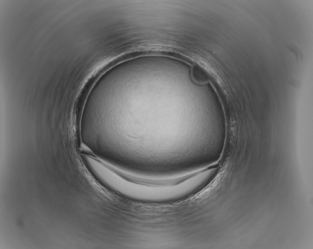 X0000110970981200907101345