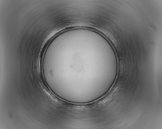 X0000110970982200907101345