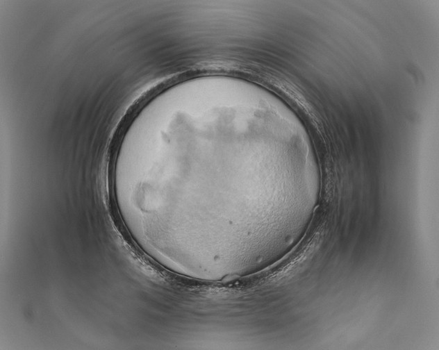 X0000110970984200907101345