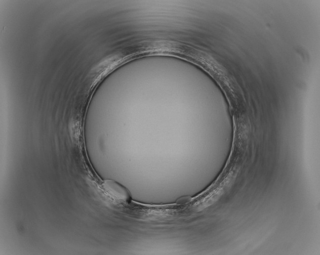 X0000110970985200907101345