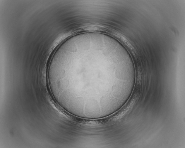 X0000110970986200907101345