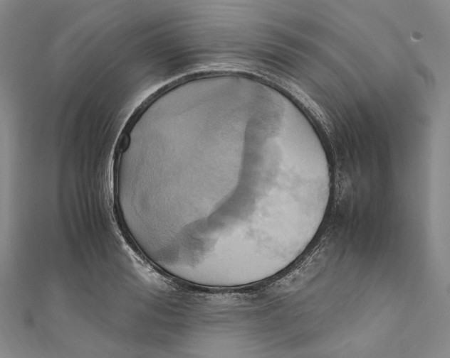 X0000110970988200907101345