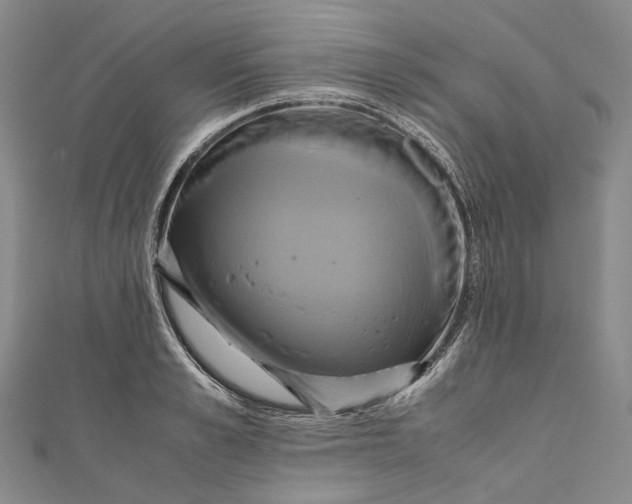 X0000110970989200907101345