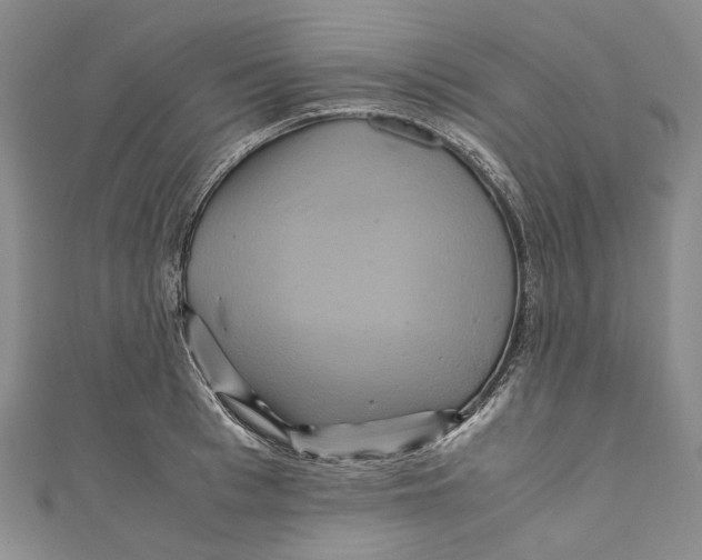 X0000110970993200907101345